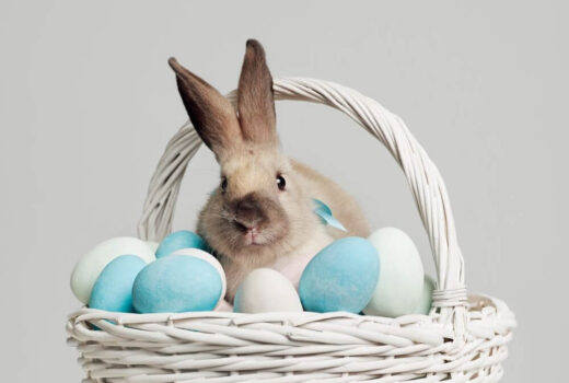 Obavijest mještanima općine o podjeli uskrsnica