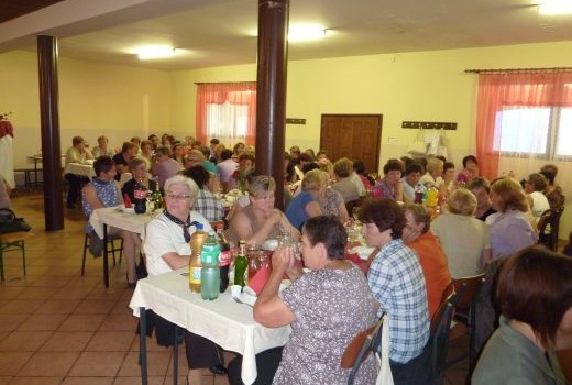 DANI PLESA PROTIV STRESA