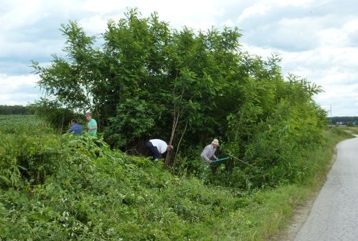 RADNICI NA JAVNIM RADOVIMA